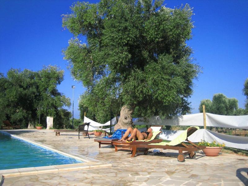 La Vigna Vecchia Vendégház Fasano Kültér fotó